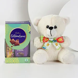 Teddy & Treats Hamper