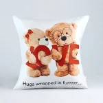 Hug Me Teddy Cushion